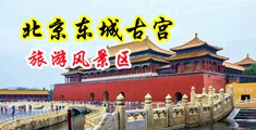 www大肥逼视频中国北京-东城古宫旅游风景区